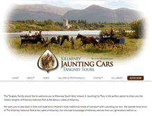 Tablet Screenshot of killarneyjauntingcars.ie